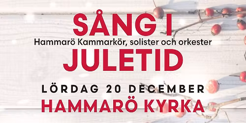 Julkonsert
