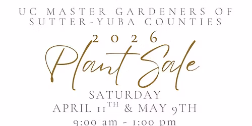 Learning Garden Workshop: Growing Cut Flowers For You and The Bees