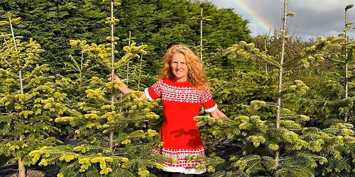 Christmas tree hire open days