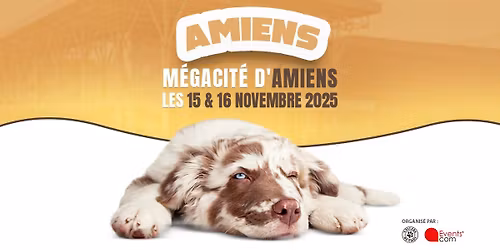 Salon "Univers du chiot" M\u00e9gacit\u00e9 d'Amiens (80)