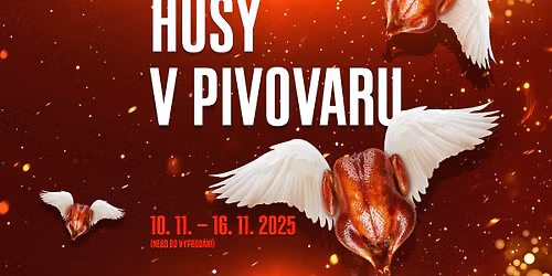 HUSY V PIVOVARU - Svatomartinsk\u00e9 hody v Brlohu 2025 \ud83d\udd25\ud83e\udebf