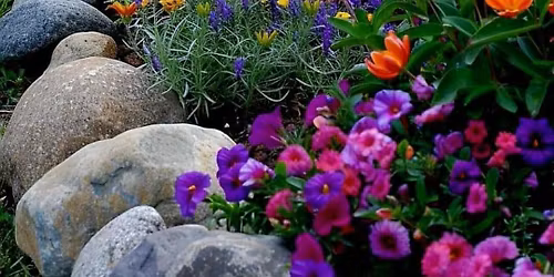 The Real Senior Prom