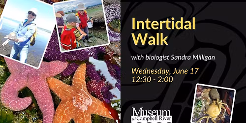 Intertidal Walk with Biologist Sandra Milligan