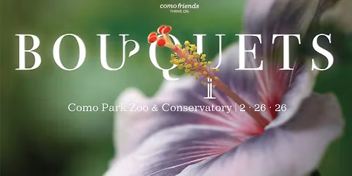 Bouquets