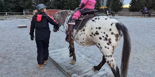 WesternForAlle clinic med Bernt Haakon Danielsson