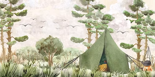 Father\/Son Campout at the Wilderness Station