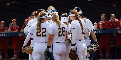 The Freedom Initiative: ND Softball Game Connect Meetup \ud83e\udd4e