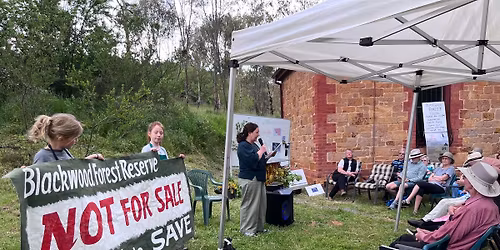 Blackwood Forest History Tour