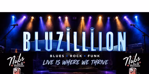 BLUZiLLiON Live at Nubs Bar & Microwave, Davenport, Iowa