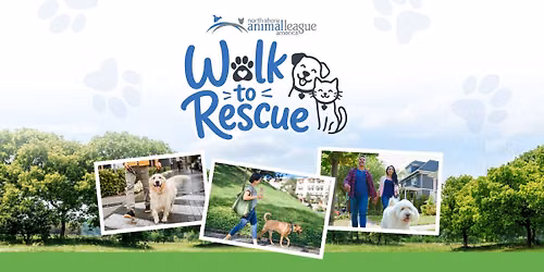 Walk to Rescue 2026: 10 Years of Walking to Save Lives \ud83d\udc3e