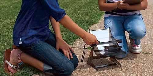 Indoor Gardening: Microgreens