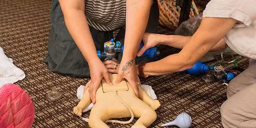 Fayetteville, AR Integrative Resuscitation of the Newborn