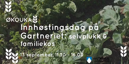 \ud83e\udd55 Innh\u00f8stingsdag p\u00e5 Gartneriet: Selvplukk og familiekos