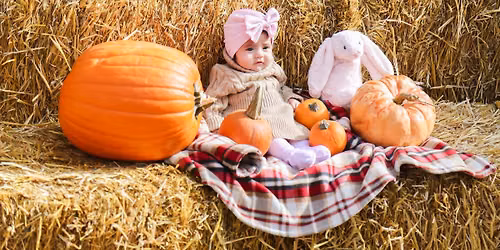 Pumpkin Harvest Festival