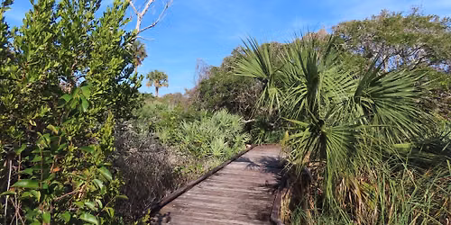 Out-of-the-Ashes Coconut Point Sanctuary Hike