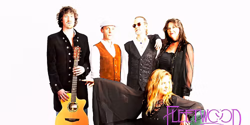 Summer Music Night ft. Fleetwood Unchained