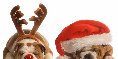 Paw and Claus - Pet Photos with Santa
