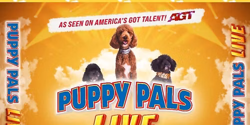 Puppy Pals Live \u2013 The Action-Packed Comedic Stunt Dog Show as seen on America\u2019s Got Talent