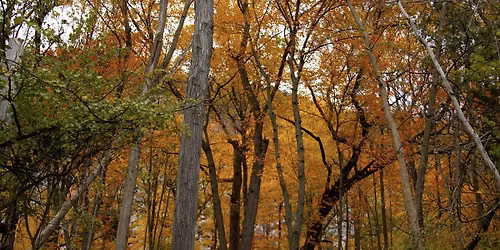 Fall Colors Photo Walk