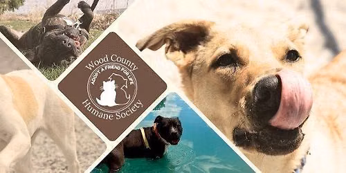 Wood County Humane Society Adoption Event