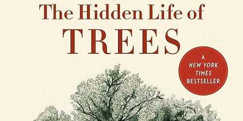 Carnegie Book Club - The Hidden Life of Trees