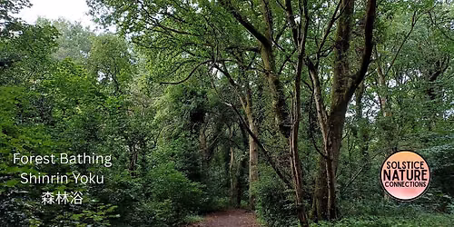 Forest Bathing+ at Allestree Park