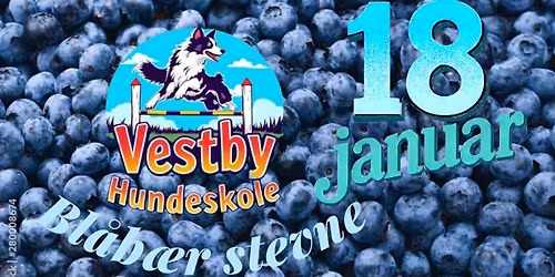 Bl\u00e5b\u00e6r stevne 18.januar 2026