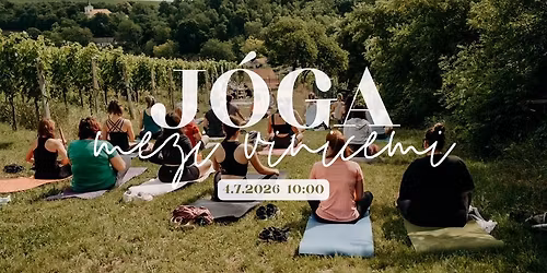 J\u00f3ga mezi vinicemi 