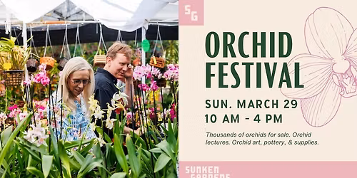 Orchid Festival