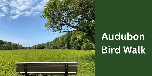 Audubon Bird Walk