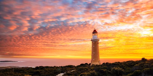 Kangaroo Island & More. Solos Only. 45 Years & Over