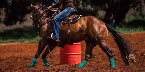 Las Vegas Shannon Kerr Barrel Racing Clinic 2025