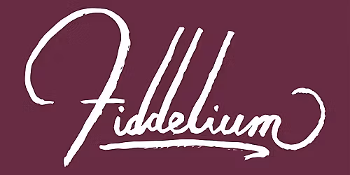 FIDDELIUM - LIVE IN THE CAPITAL