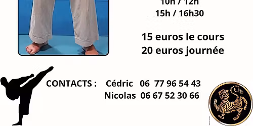 Stage de karat\u00e9 avec Herv\u00e9 Delage