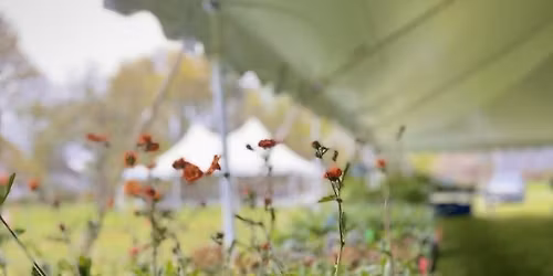 Long Hill Plant Sale Preview Party & Silent Auction