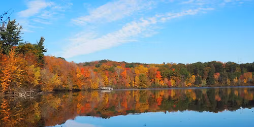 Rando Parc national du Mont-Saint Bruno 
