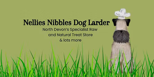 \ud83c\udf84 Festive Photo Shoot \ud83c\udf84