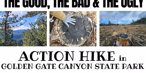 THE GOOD, THE BAD & THE UGLY Hike in Golden Gate Canyon State Park