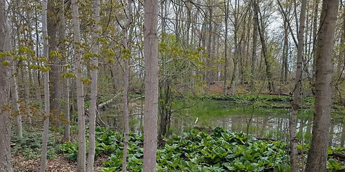 Planning Restoration: City of London's Westminster Natural Heritage Study