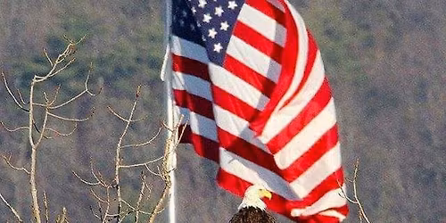 Bartonville VFW Auxiliary MONTHLY QUARTER AUCTION PUBLIC WELCOME