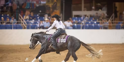PGRHA Shawna Sapergia Reining Clinic