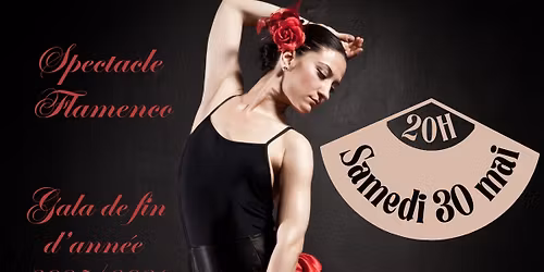 "HERENCIA" (spectacle de Flamenco)