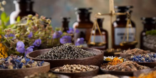 Rooted & Regulated: Adaptogens and Herbal Allies for Health