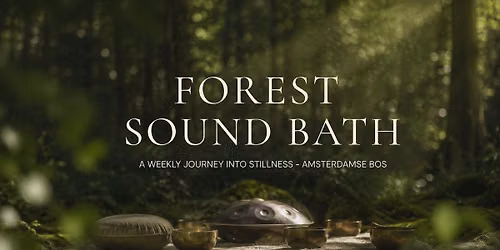 Forest Sound Bath in Amsterdamse Bos | Handpan, Singing Bowls & Nature