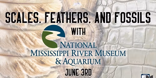 Scales, Feather, and Fossils