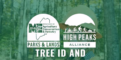 Tree ID and Bird Habitat Walk - Shiloh Pond Community Forest