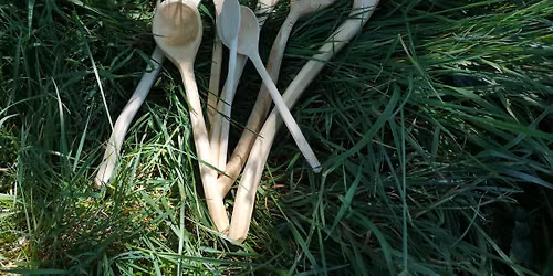 Spoon Carving @ The Garlic Farm