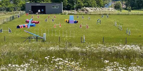 T\u00e1bor s Luckou \u0160. v Tachyonu 2026