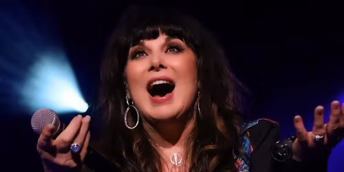 ANN WILSON: IN MY VOICE