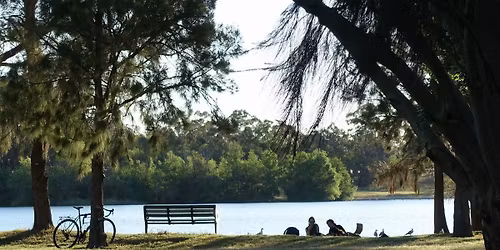 Ecstatic Dance Community Picnic - End of Year Gathering